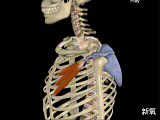 白秀珠|刘亦菲的童年照被扒出，这是豪门千金白秀珠本珠吧！