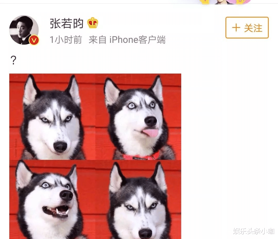 张若昀|恭喜！回娘家悄悄养胎，这对真不是合约情侣？