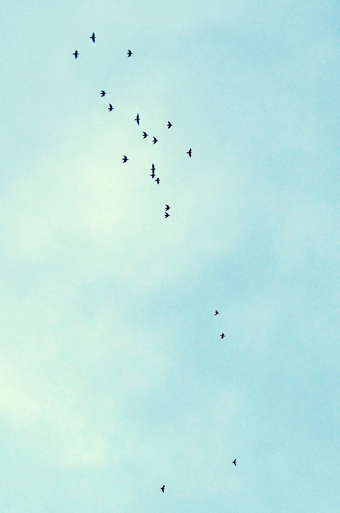 夜空下的小佳 为什么现在的男人恋爱结婚都那么累?