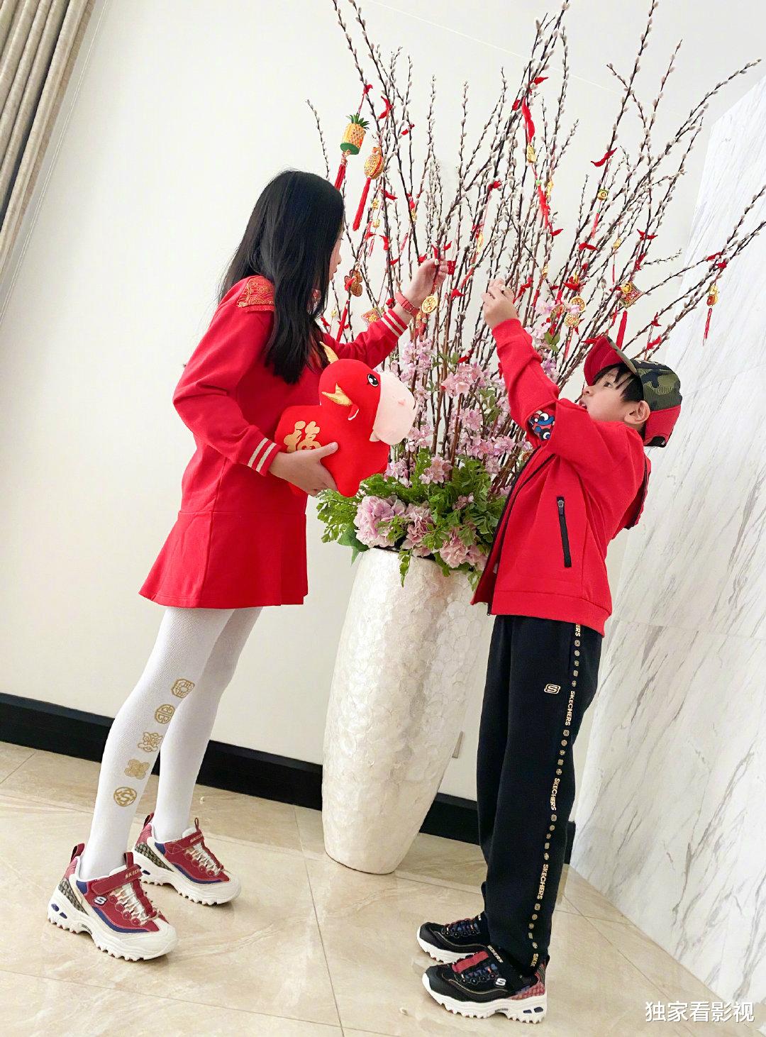 刘涛|8组明星家庭秀团圆：章子怡好妈妈，邓超秀恩爱，刘涛为何被羡慕