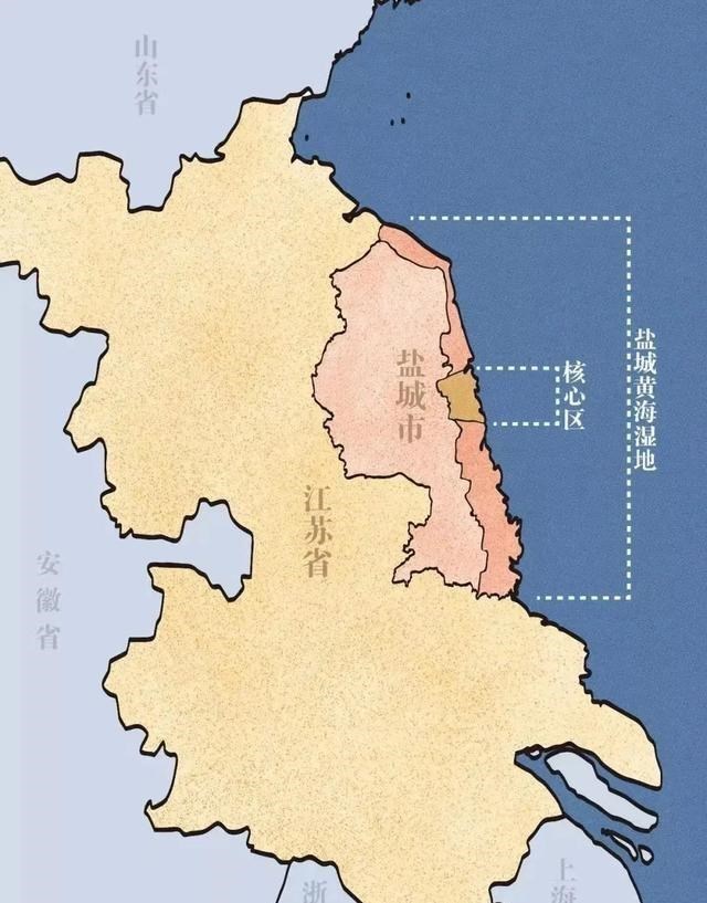 科学家 江苏省面积在悄悄“变大”？大了近3万平方公里，是谁的功劳？
