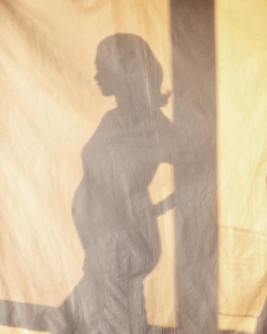 岑丽香|晒一家四口全家福  岑丽香宣布再怀孕