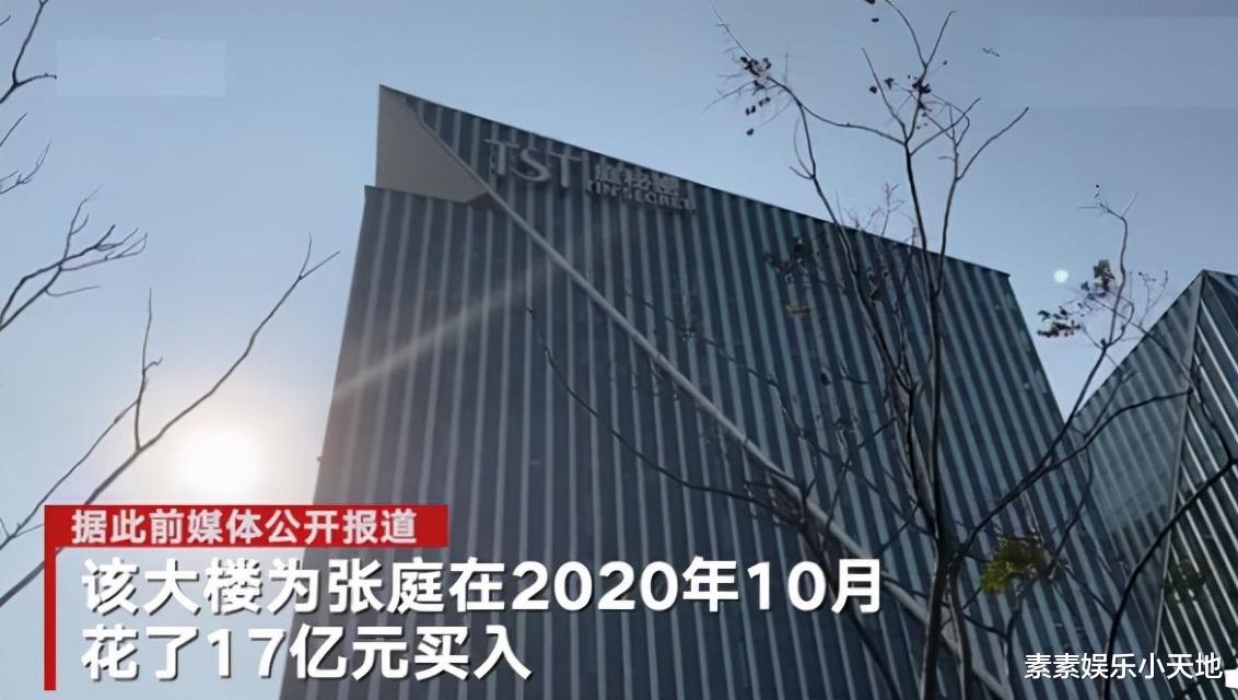 张庭|张庭夫妇会不会坐牢？他们早就预料到了经营风险，公司是VIE架构