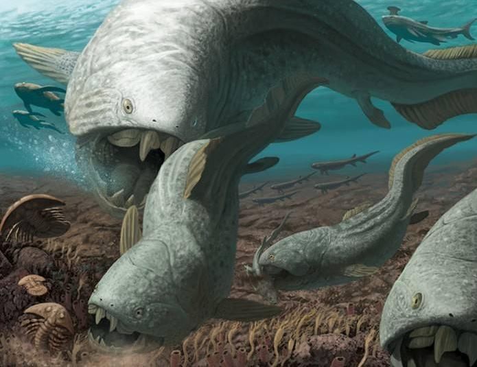 流星雨 3.5亿年前的泥盆纪：5米高的大蘑菇，比鲸鱼还大的鱼！