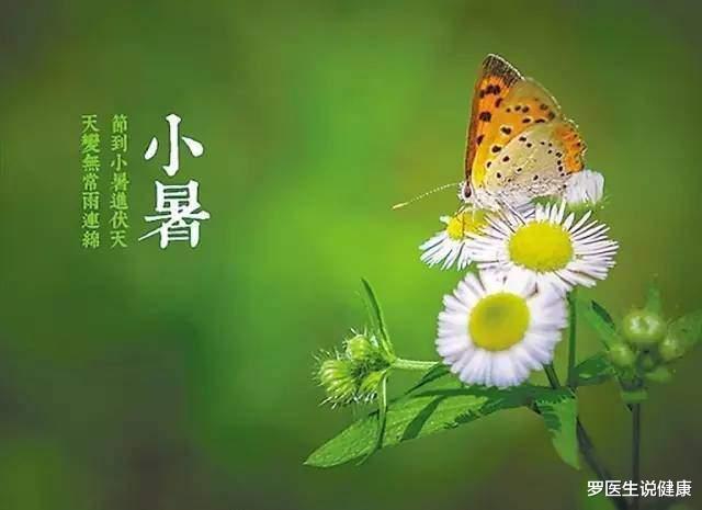 罗医生说健康|夏季养生，送给大家这3个养生小秘诀，看过才知道