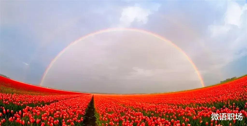二线城市|人的一生会面临4次挑选城市的抉择，怎么选才能使自己利益最大化？
