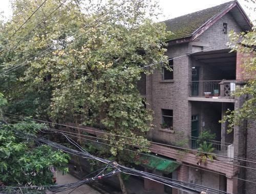 你看看这个世界 在重庆群山，由8个村庄组成的军工厂，大多由青砖组成
