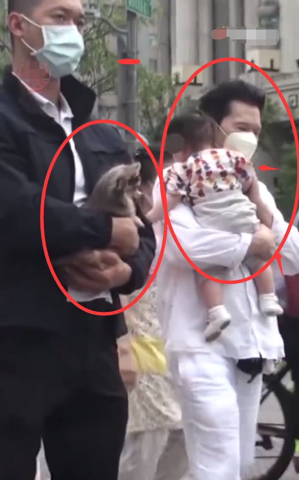 向华强|向华强抱孙女上街，小心谨慎路都不敢大走！网友：真是一物降一物