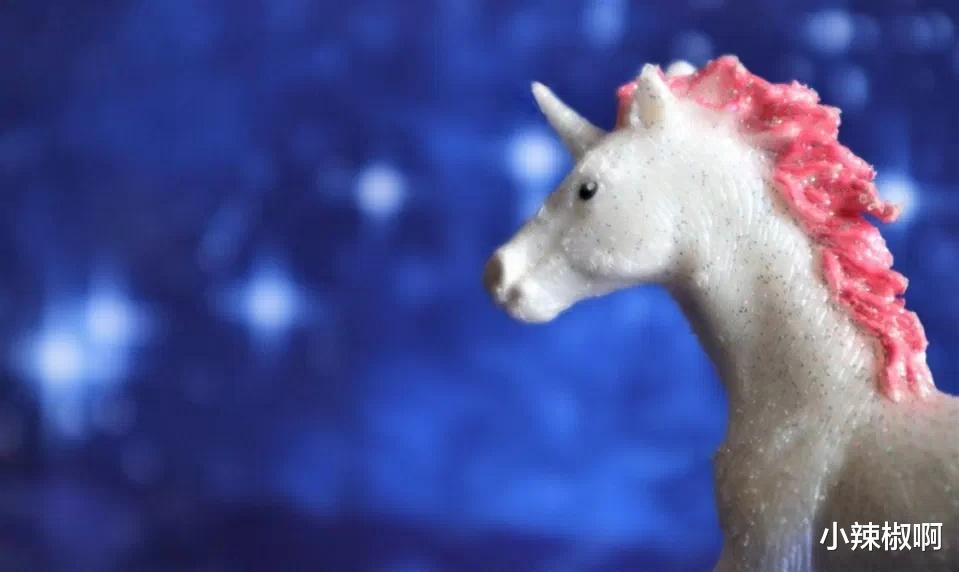 小辣椒啊 比特熊猫，作为又一个独角兽企业，横空出世，筹集到1.7亿美元资金