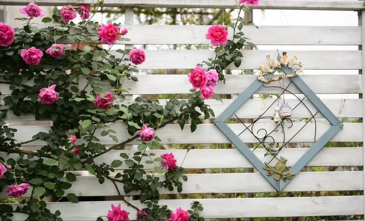 4年前，毫不犹豫买了这个带60㎡露台的房子，开始DIY改造小花园