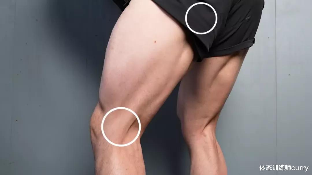 健身|练胸不练腿、迟早..这个大神们最爱的“练腿动作”还不快做起来！