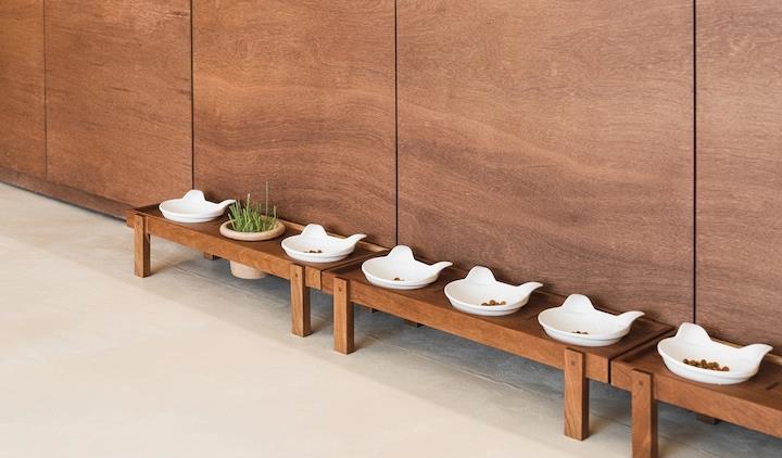 受不了996的生活,全家搬迁远郊89平老房,养7只猫!太解乏了