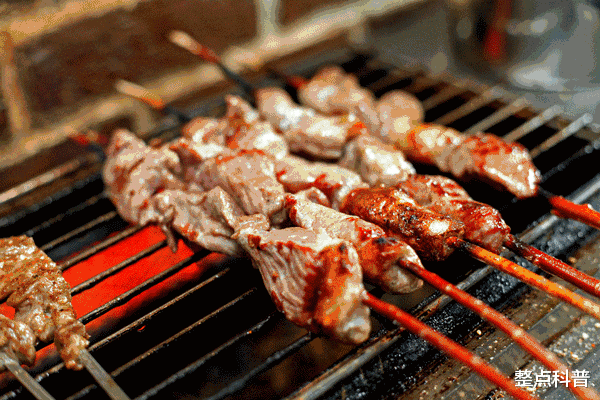 为什么人类只吃食草动物的肉,几乎不吃食肉动物?难道是不好吃?