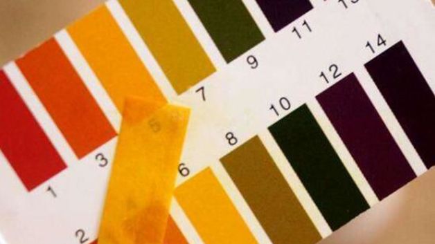 护肤品|2021年5款高性价比护肤品推荐不要乱买护肤品看完这篇养出牛奶肌