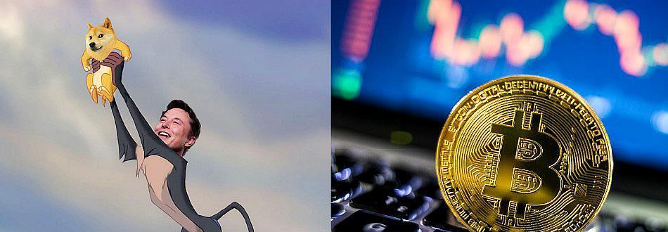 比特币 最受关注加密货币TOP10！狗币涨8000%，除比特币你还关注了谁？