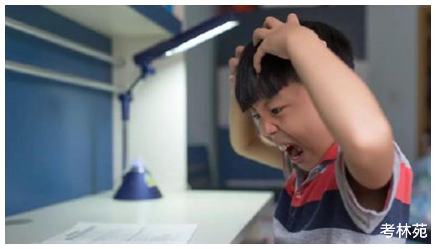 培训机构|因为一道小学数学题，网友们吵翻了