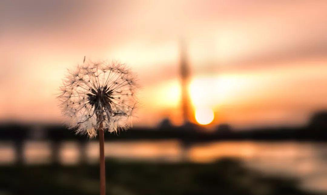 泪水迷失了双眼|9月下半月,身处逆境的星座,有人自乱阵脚,有人逆风翻盘