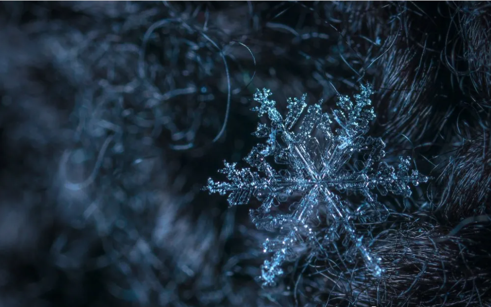 太容易高糊和过曝，在冬天拍出漂亮的雪景，绝对是技术活儿