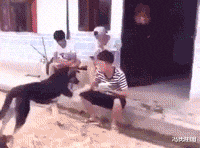 “出差一个月，装修交给婆婆，回来一打开家门愣了”