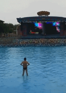 短裙 “好友的新娘是真的漂亮啊，谁敢娶回家去？真有点担心呢！”哈哈哈哈