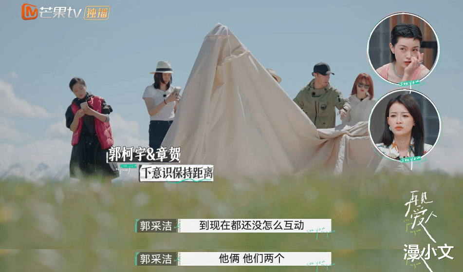 漫小文|再见爱人：离婚一年的章贺郭柯宇，他们处成了离婚后最好的模样