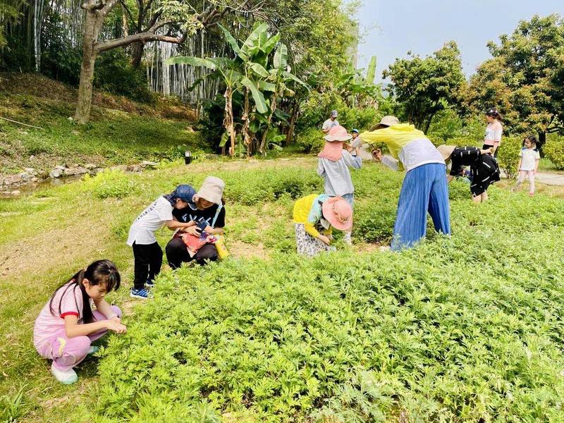 羊城派 清明第二天，乡村游成广州周边游“人气王”