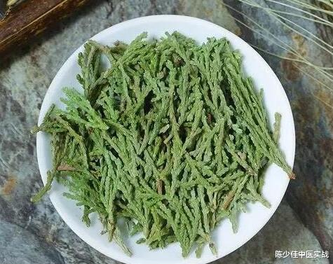 斑秃|医案分享：斑秃--柏叶浸剂