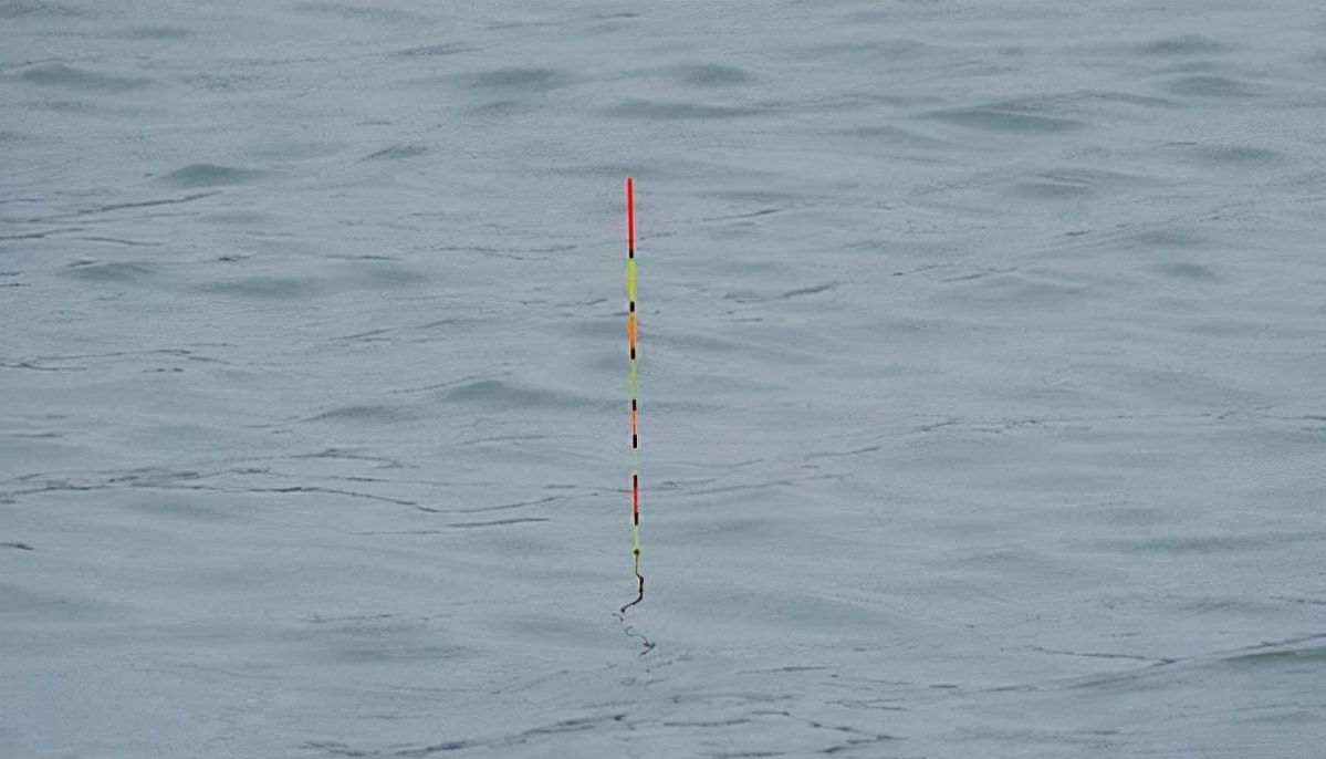 |总说灵活调钓，到底怎么做，才叫做灵活调漂