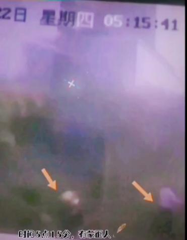 林生斌|林生斌事件升级！被知名大V实名举报，调查组回应来了