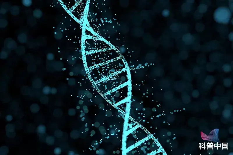 乳腺癌|每40秒就有1人死于乳腺癌,男性死亡率更高!出现这5种症状要小心