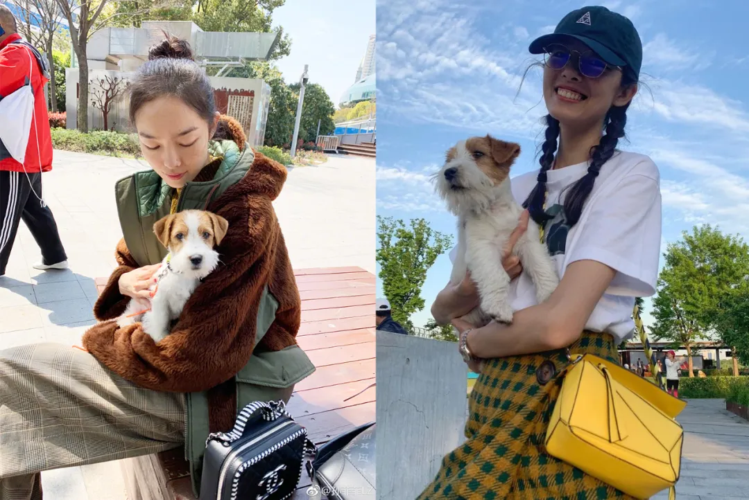 孙菲菲|消失一年突然官宣生子，32岁被宠成小公主，她太让人羡慕了吧！