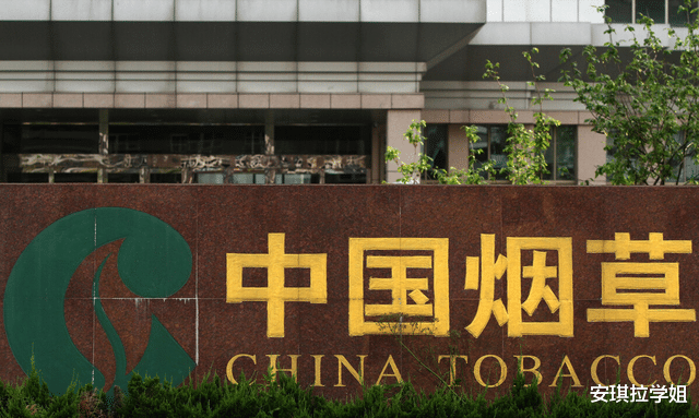 文职|公务员是毕业生的最好出路?不一定,有3类工作也是“香饽饽”