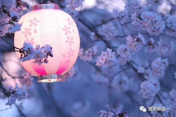 占卜师宓一|塔罗牌占卜:“万法皆生,皆系缘份”,默念一个人的名字,占卜出你们的缘分