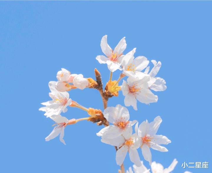 小二星座 12星座想分手的征兆，干脆离开还是勉强将就？这是一个问题！