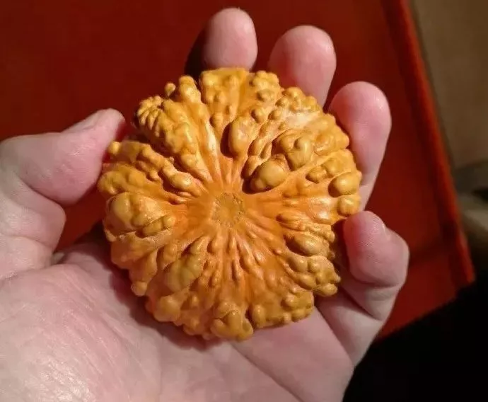 葫芦|这玩意儿，不盘光看，就很勾人！