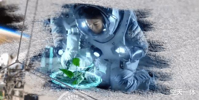 国际空间站的辣椒丰收了,航天员在太空中真的只尝得出辣味吗?