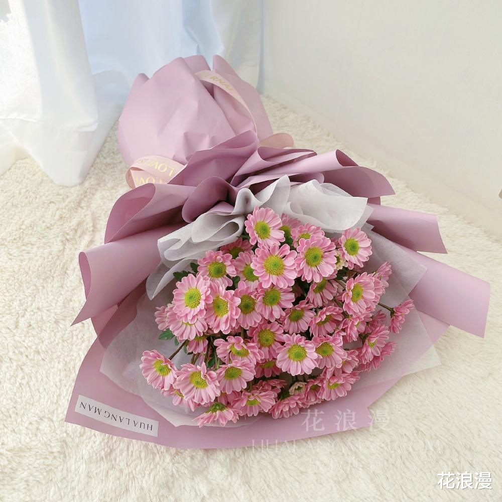 雏菊有几种颜色，不同颜色的雏菊分别代表什么含义？