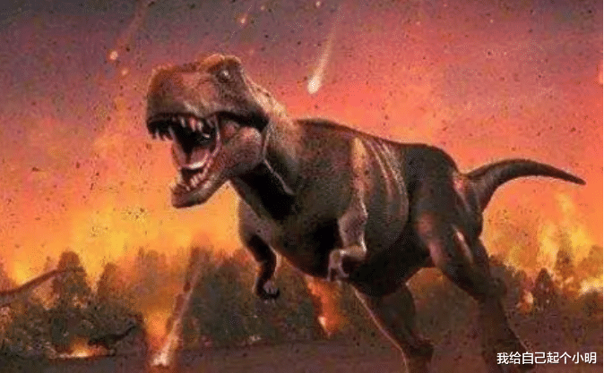 尼斯湖水怪 恐龙并未灭绝？尼斯湖水怪或是恐龙的幸存者？还有视频为证