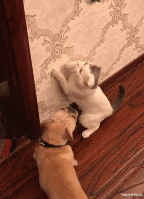 幽默搞笑神回复|神回复：“成年人的时间哪个最像你？”网友：聚餐的时候！