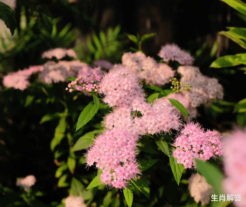 天蝎座|6月底，旧情不散，爱情不走，初心依旧，3星座念念不忘，必有回响