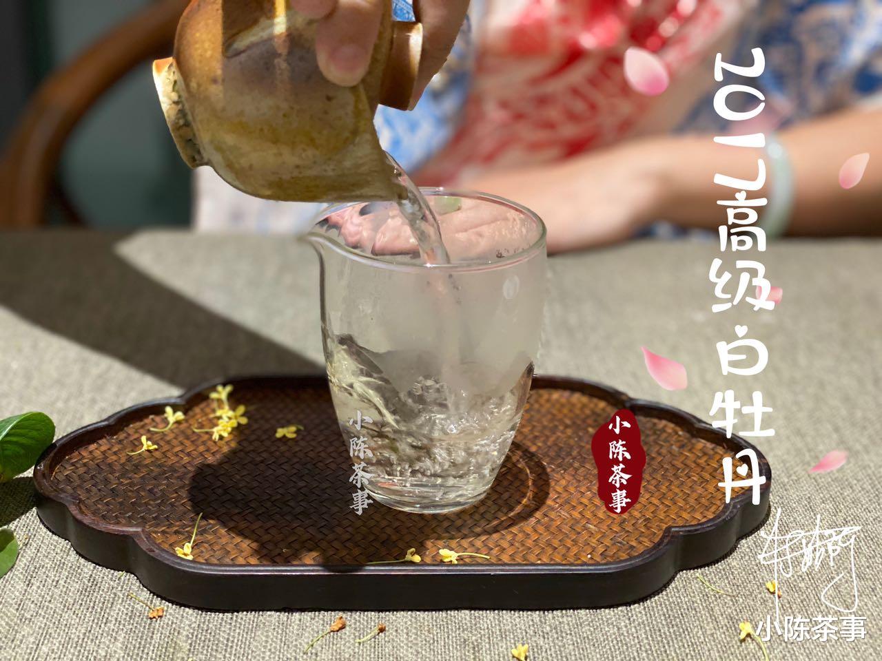 |白茶讲究鲜香醇爽，以“酸”为卖点的梅子香老白茶，咋做出来的？