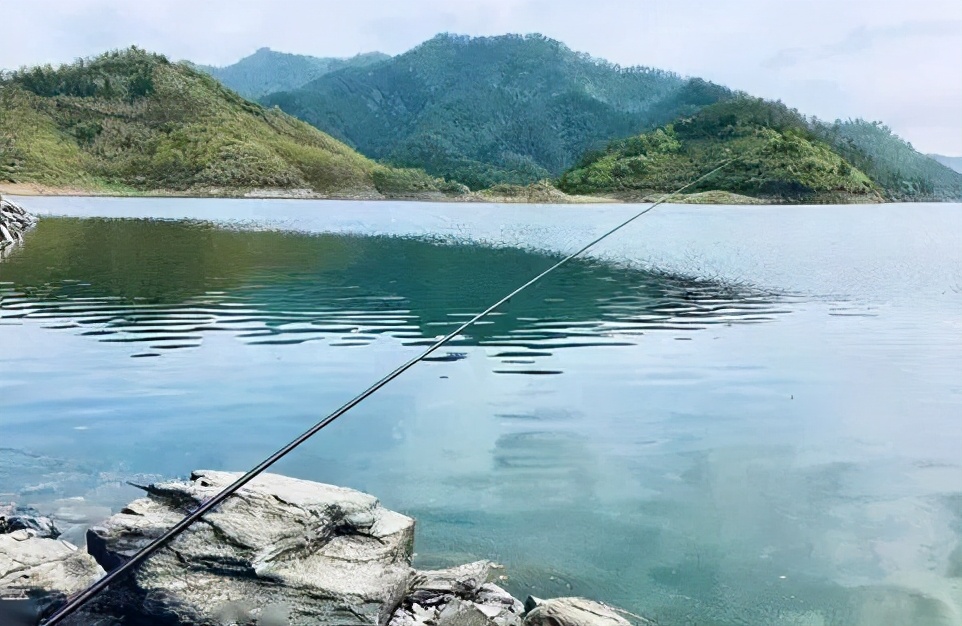 |揭秘神秘钓鱼小药，具体方法和思路，看完就不迷茫了——盛世三渔