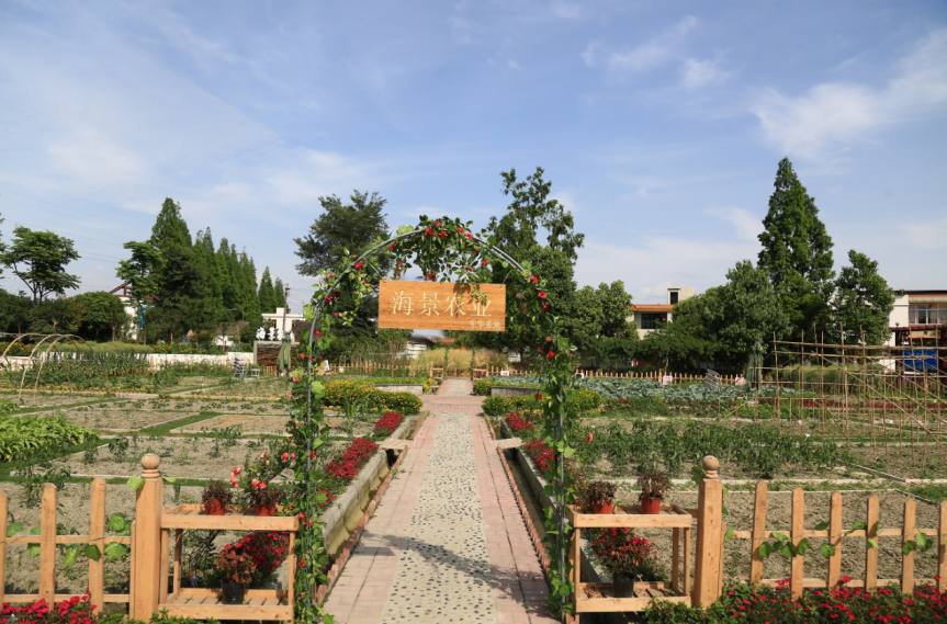 封面四川 踏青、赏花、摘果、采茶……这个清明节，跟着这十条精品线路去畅游川西林盘