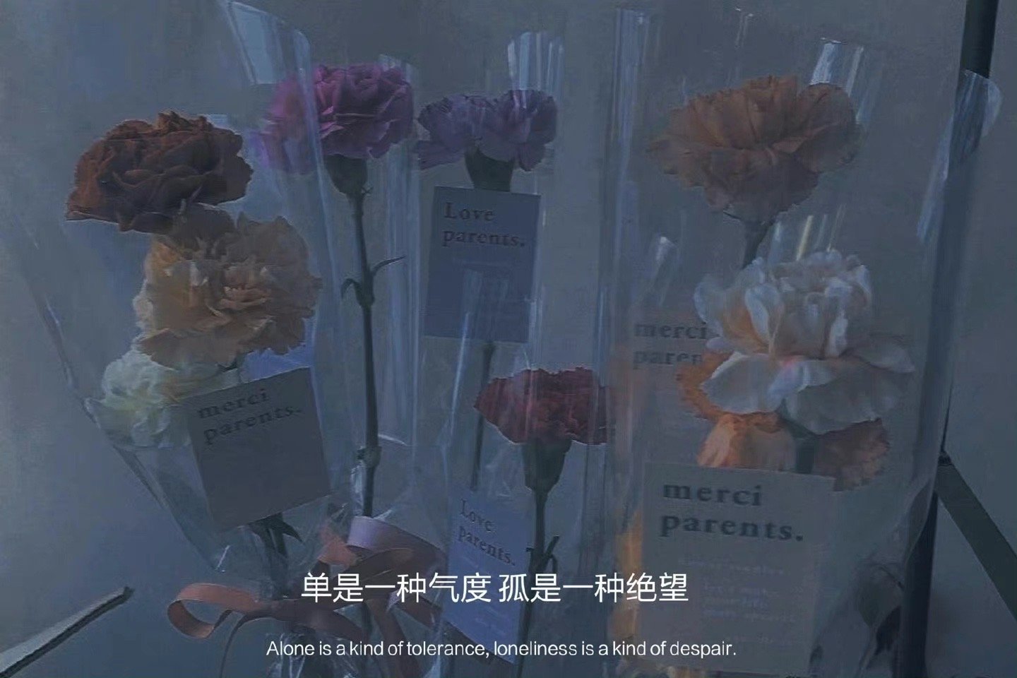 墨陌文案馆|单是一种气度  孤是一种绝望