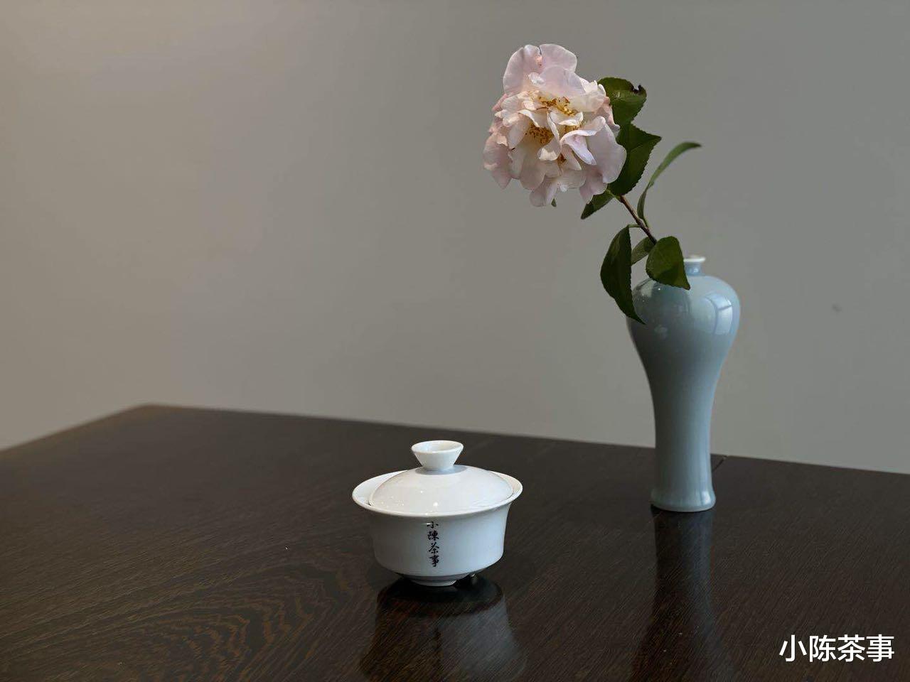 高血压|煮老白茶加什么好喝？菊花、红枣，还是陈皮？煮茶切勿画蛇添足！