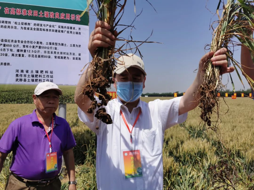 关于土壤调理剂,你要搞清楚这些问题