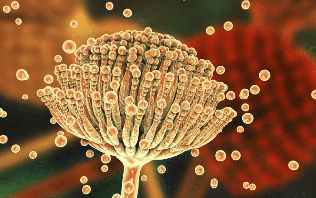 肝癌|32岁女子2个月瘦20斤，查出肝癌，医生叹息：这种汤天天喝，铁打的肝也扛不住