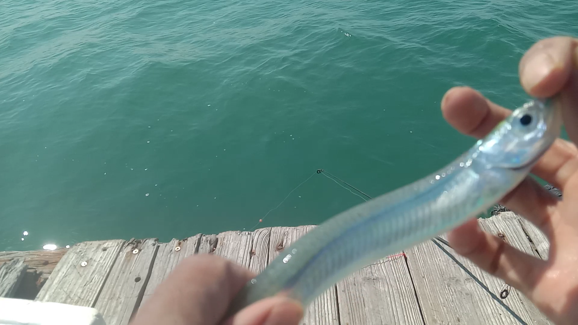 海钓|出海钓鱼最重要的，不是设备，不是技术，首先你要做到这点