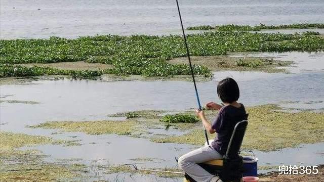 广东省|鱼中“四不像”，广东一男子野钓的罕见收获，钓友却如此处理了