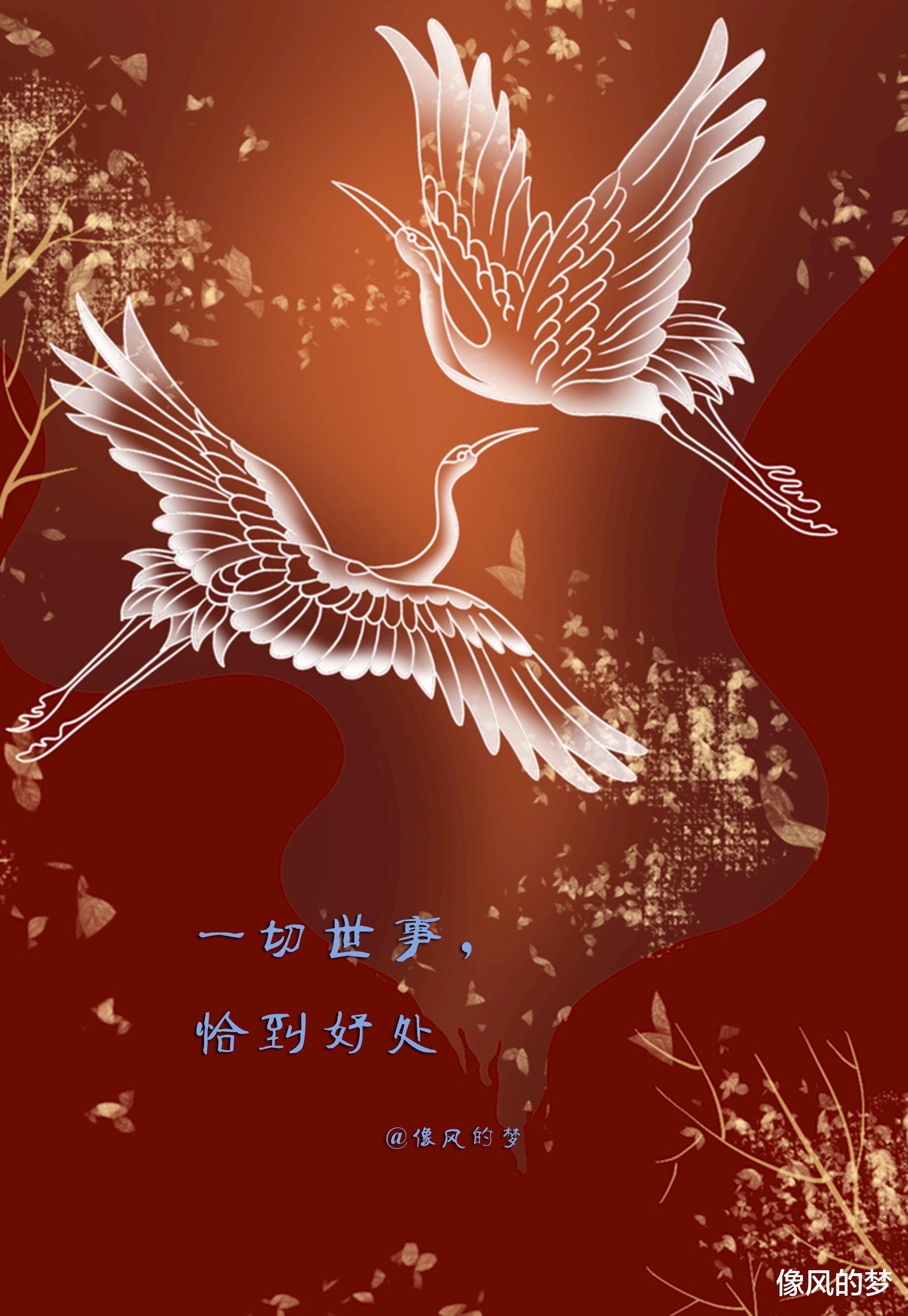 像风的梦 思考，不仅意味着答案，更意味着存在